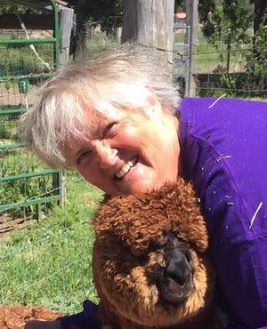 Nancy Shelton of weed nuzzles one of the residents of her 5-acre ranch Alpaca on the Rocks.