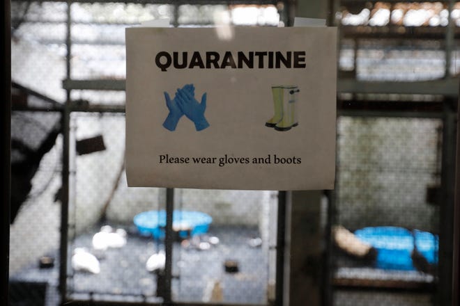 The bird population of the Buttonwood Park Zoo in New Bedford has been put in quarantine as a precaution against Highly Pathogenic Avian Influenza .